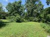 lot 20 London St. photo